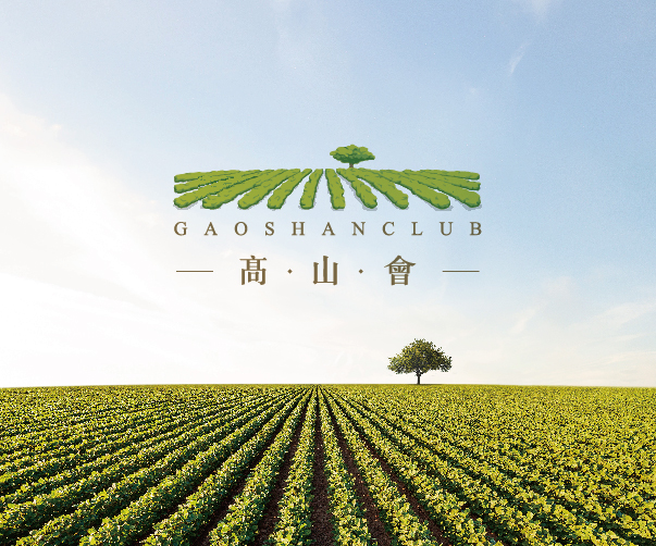 后現(xiàn)代公寓品牌設(shè)計：大膽色彩、藝術(shù)與幾何形狀的完美融合